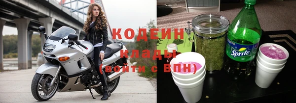 ГАЛЛЮЦИНОГЕННЫЕ ГРИБЫ Гусь-Хрустальный
