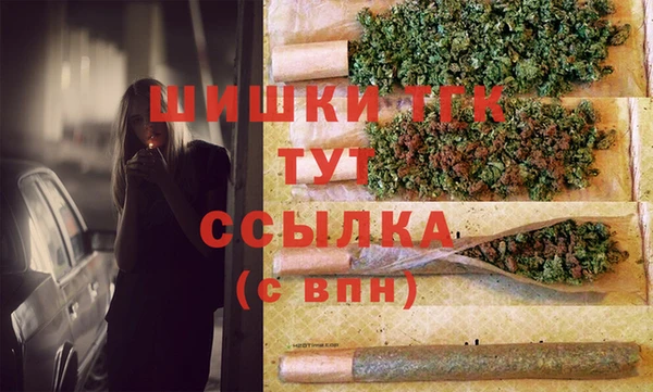 мдпв Горно-Алтайск