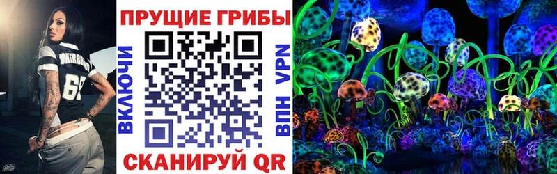 Галлюциногенные грибы ЛСД  Купить  Сланцы 