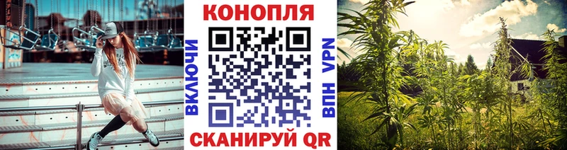 Купить где  Сланцы  Бошки марихуана THC 21% 